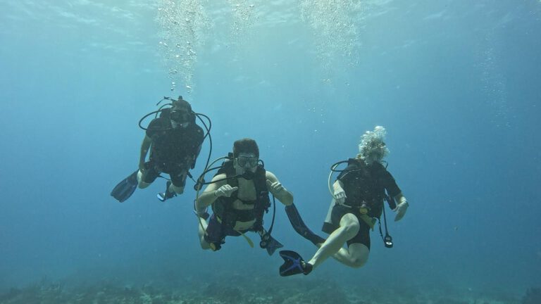 202502 Antigua, PADI OWD